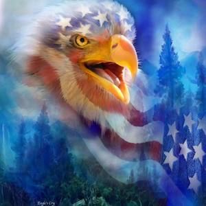 Meet your Posher, Jose